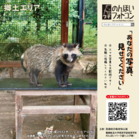 郷土エリア(2026年10月掲示)