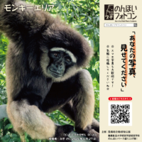 モンキーエリア(2026年10月掲示)