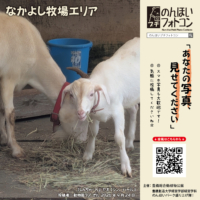 なかよし牧場エリア(2026年10月掲示)
