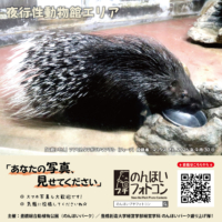 夜行性動物館エリア(2026年10月掲示)