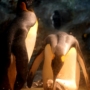 198 オウサマペンギンの赤ちゃん
