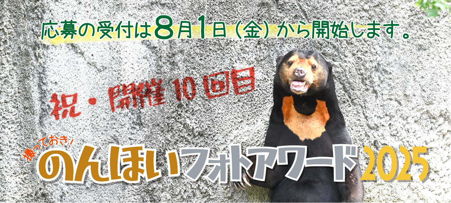 撮っておき！のんほいフォトアワード2025