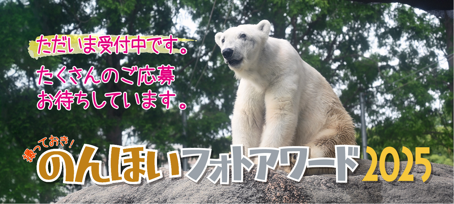 撮っておき！のんほいフォトアワード2025