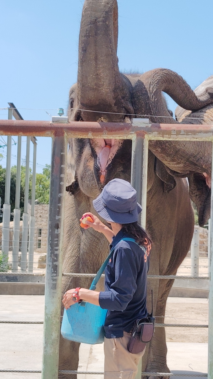 027 ゾウさんの口の中