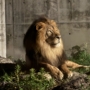 058 ナイトZOO