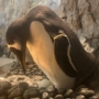 084 早く赤ちゃんに会いたいね