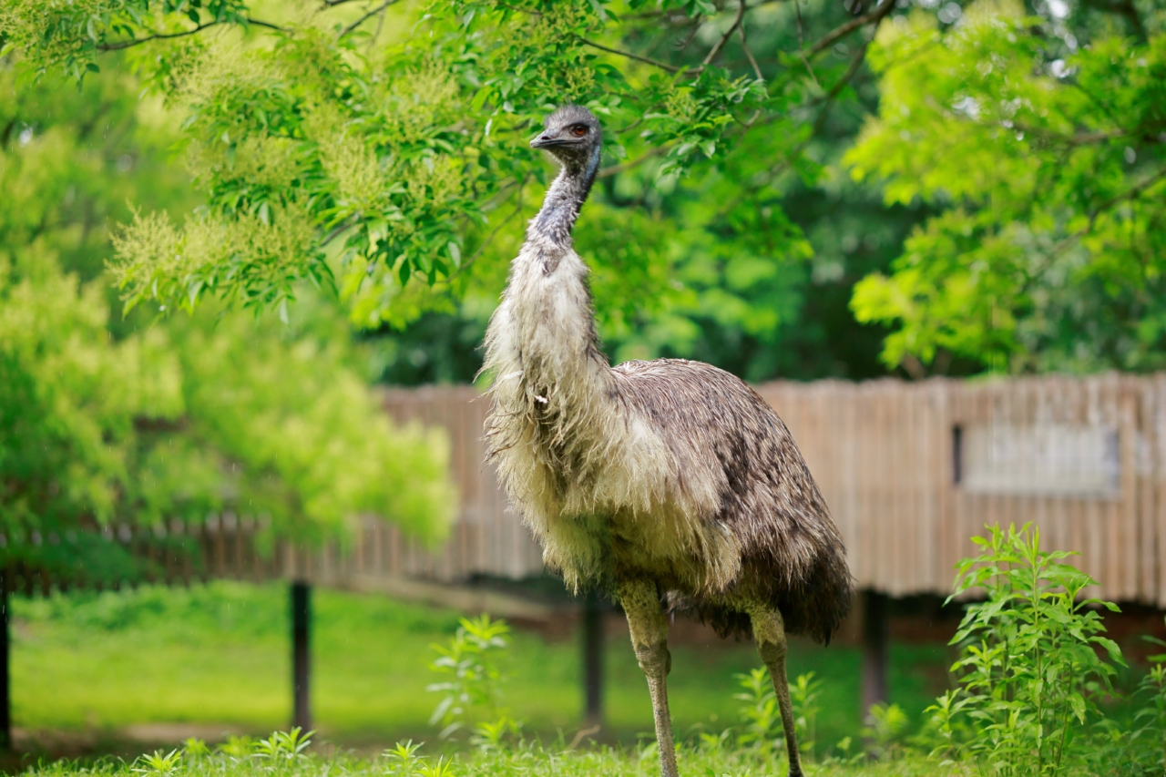 057 元気な姿をみせてくれ！