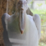 327 証明写真