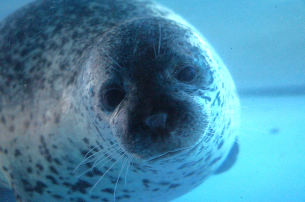 335 好きになっちゃう？