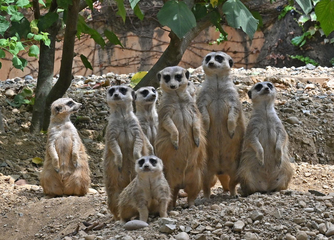 353 皆で見張り番