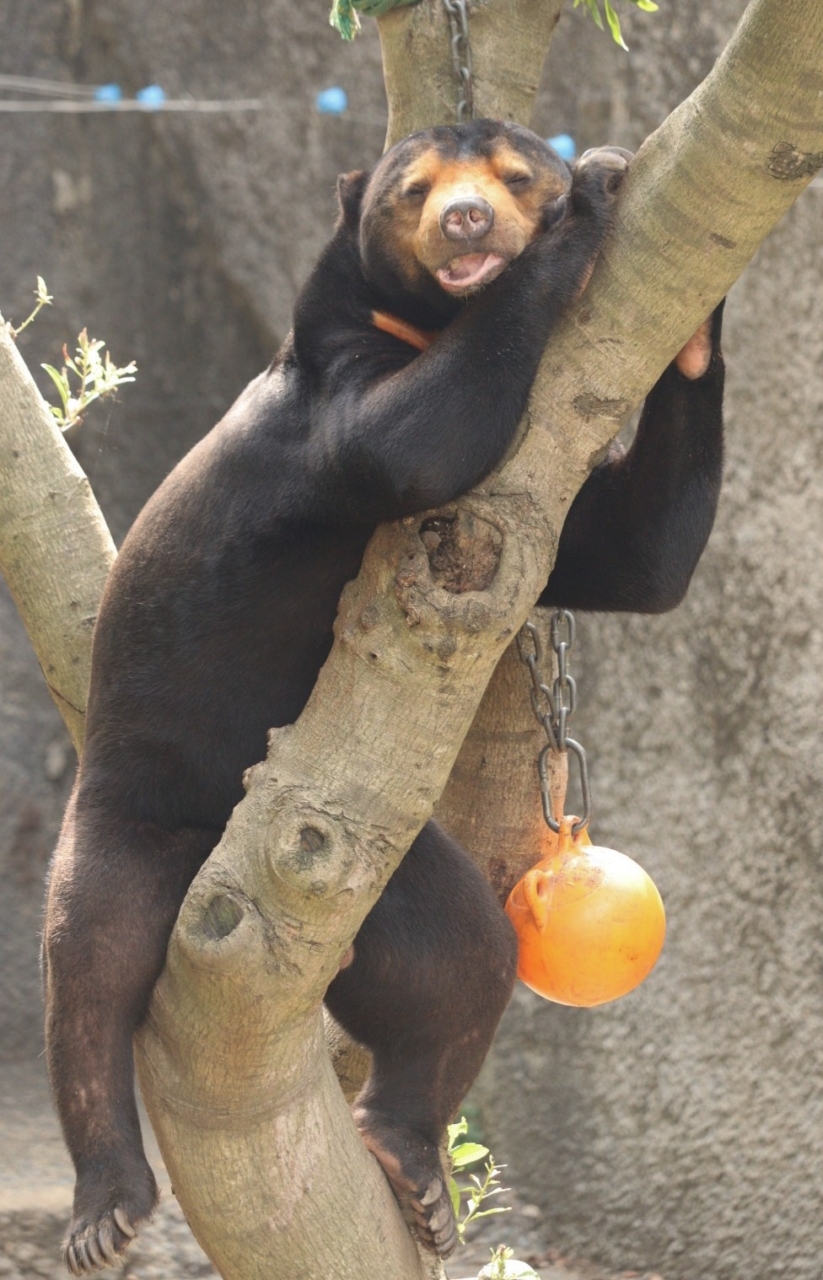 344 やさしい時間