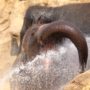 255 気持ちいぃー