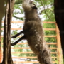 263 アクティブアサヒ