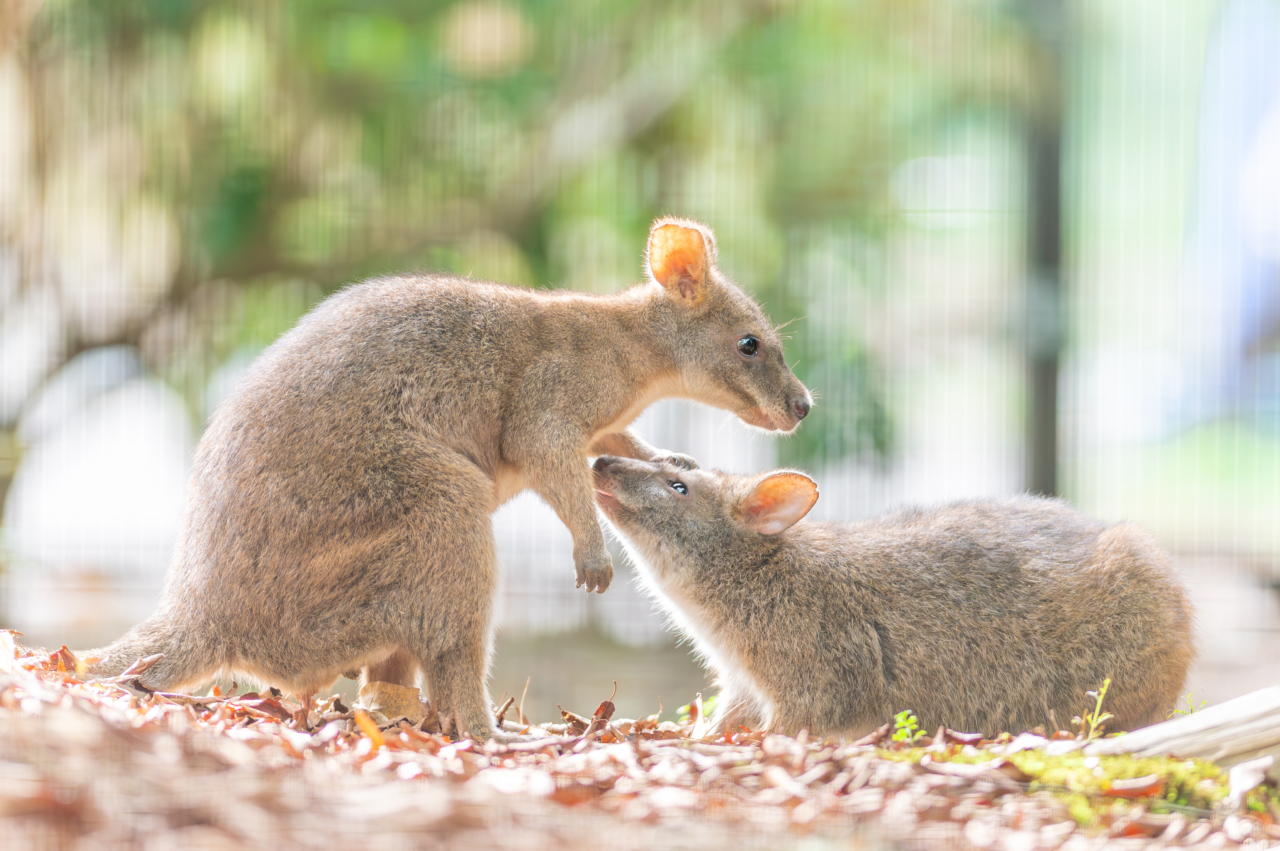 199 君がいるから笑顔になれる