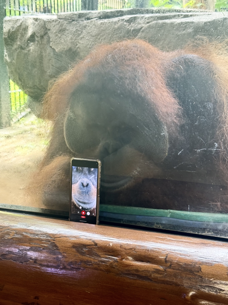 227 ちゃんと撮れてる？？