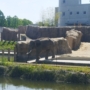 137 行ってきます
