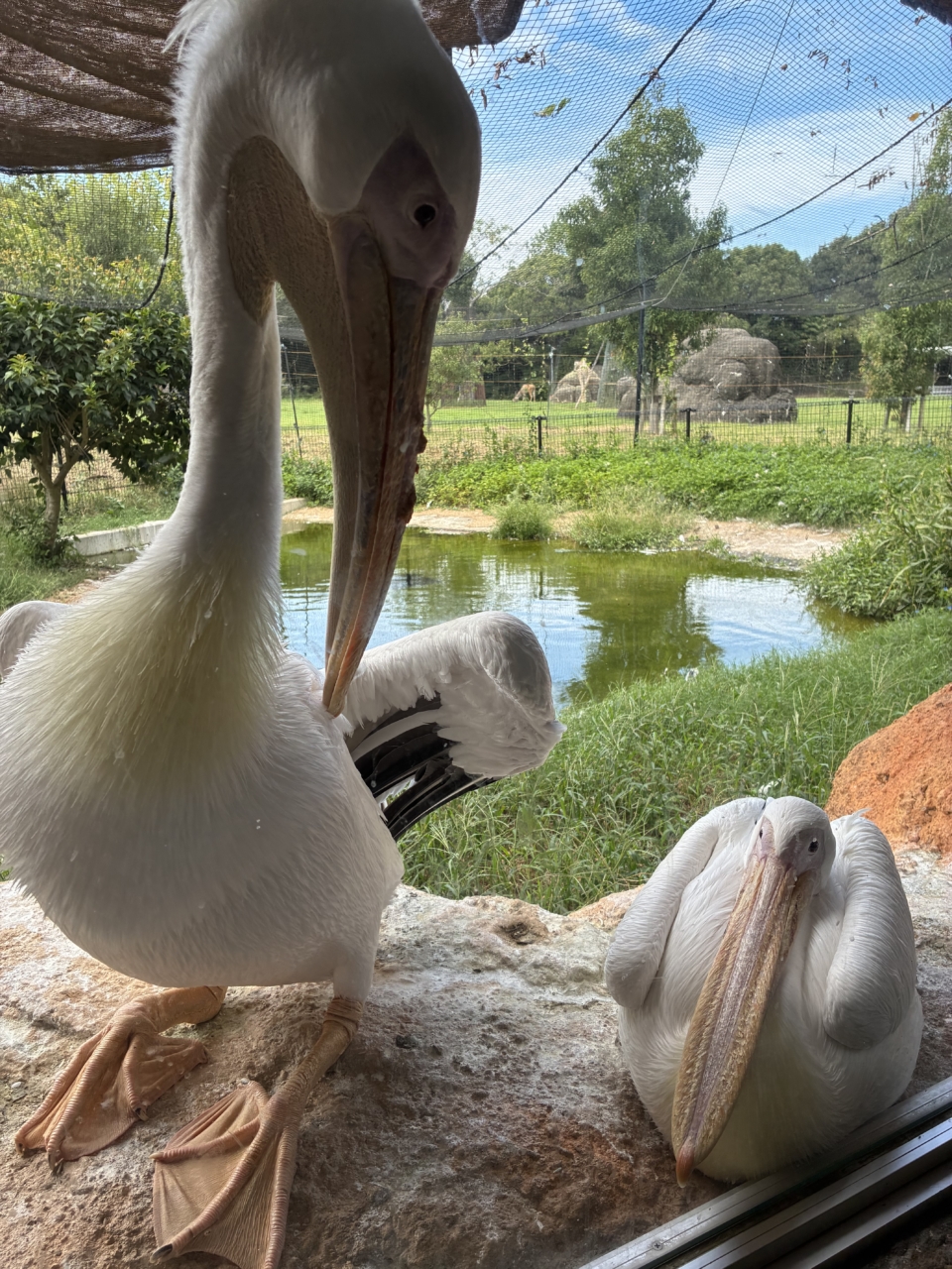 368 いつも一緒だよ🥰