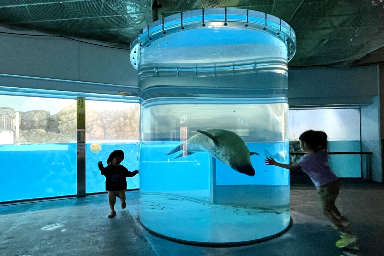 106 楽しいな ^_^