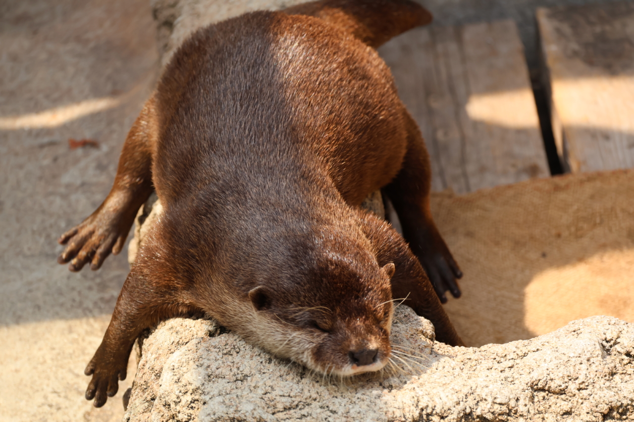 297 まったり流れる時間