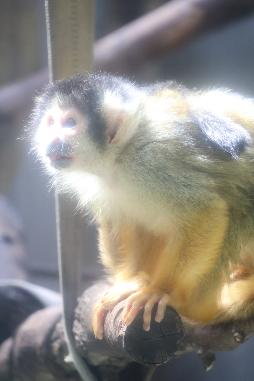 132 陽だまり降臨