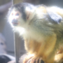 132 陽だまり降臨