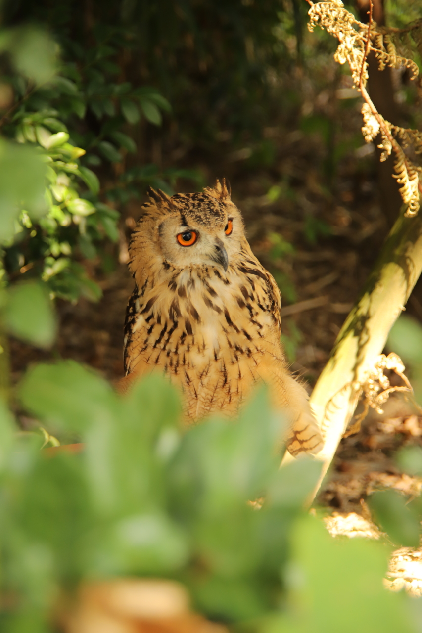 318 ひだまりに包まれて