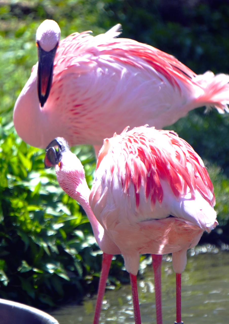 212 ねぇねぇ聞いて！