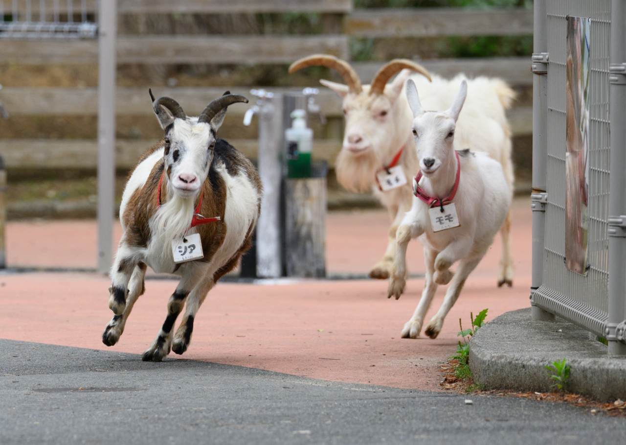 271 コーナリング