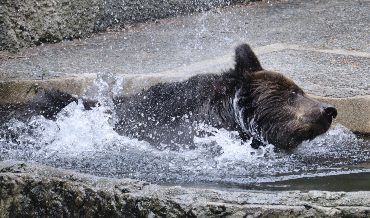 452 水しぶきに包まれて