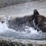 452 水しぶきに包まれて