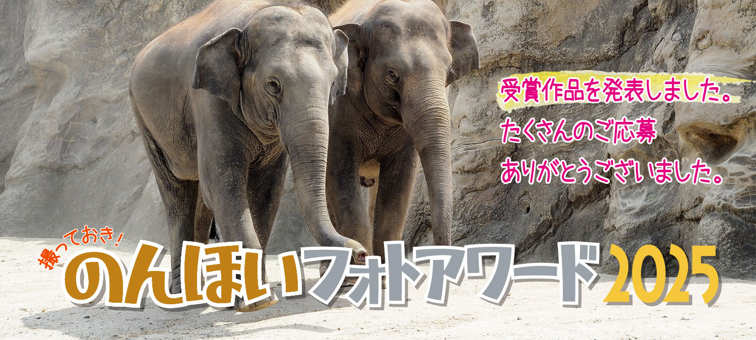 撮っておき！のんほいフォトアワード2025