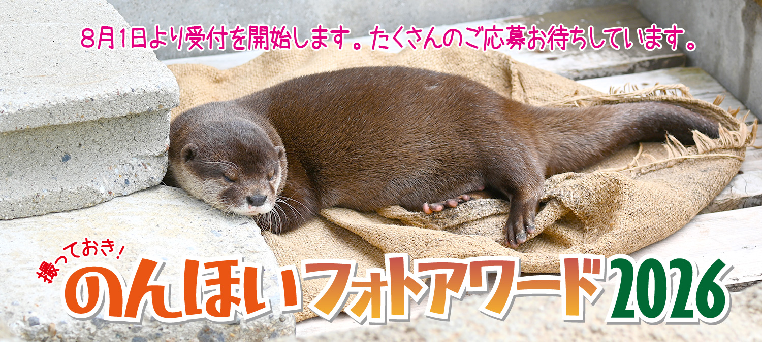 撮っておき！のんほいフォトアワード2026