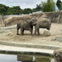 002 妹姉みたい！！