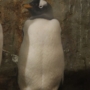 103 僕、悪くないもん