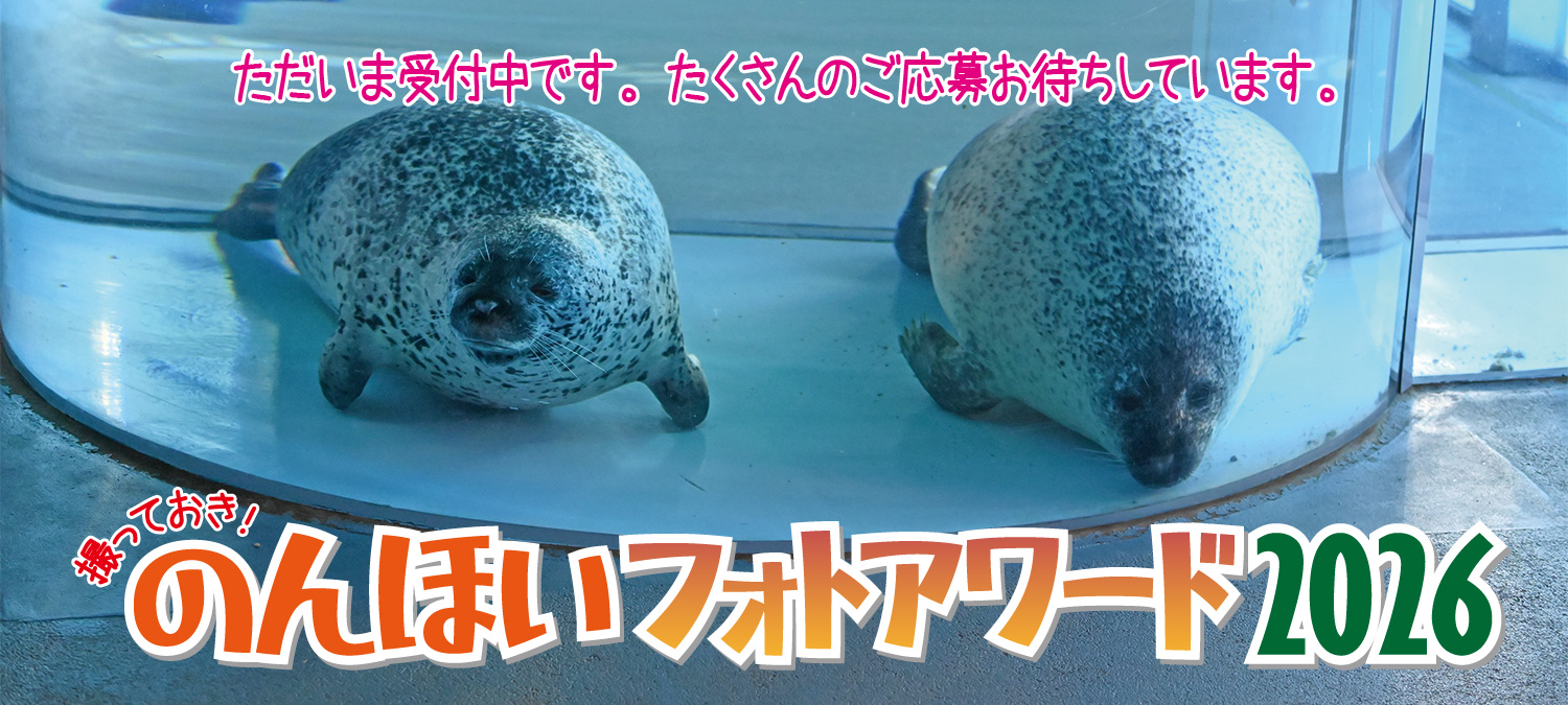 撮っておき！のんほいフォトアワード2026