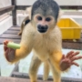 183 一緒に食べる？