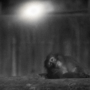 237 眠れない夜