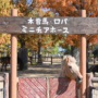 210 ようこそ秋のなかよし牧場へ