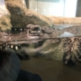355 ざぶーん