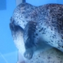388 ラブなハグ