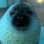 208 のほほ〜ん