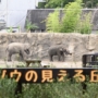 389 あ、見えた！