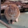 129 ム ム ム
