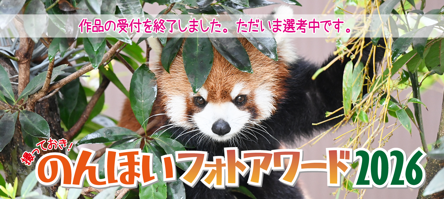 撮っておき！のんほいフォトアワード2026